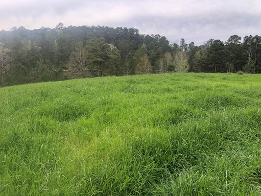 Grass-Fed Beef and Soil Health